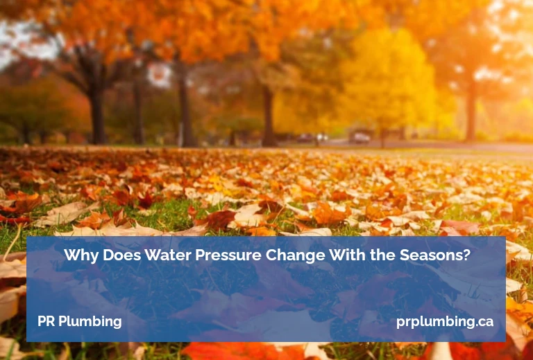 plumbing risks