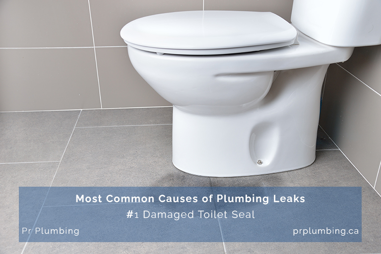 Plumbing leaks
