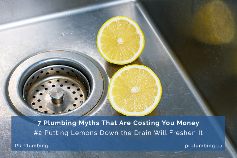 Common Plumbing Myths about drains
