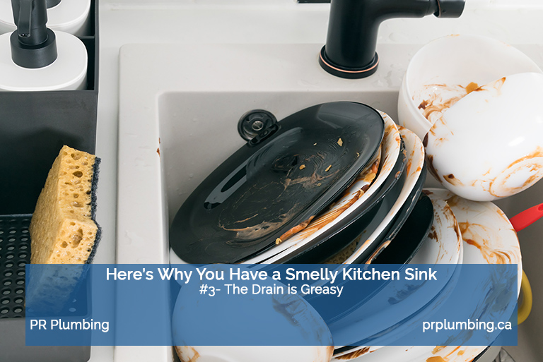 kitchen sink stink