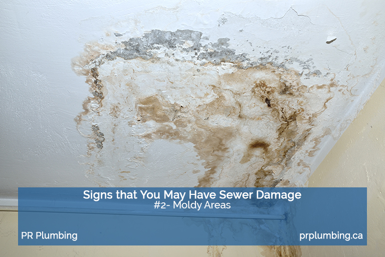sewer damage