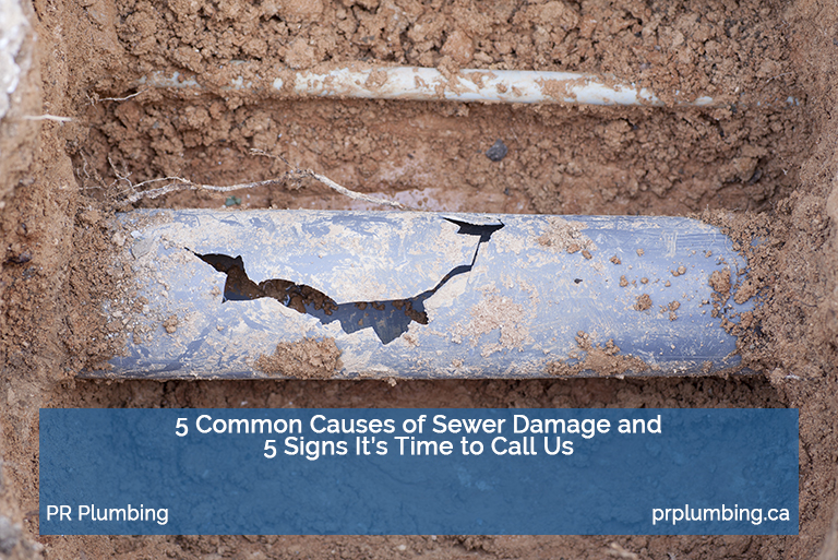 sewer damage
