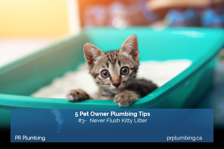 pet plumbing tips