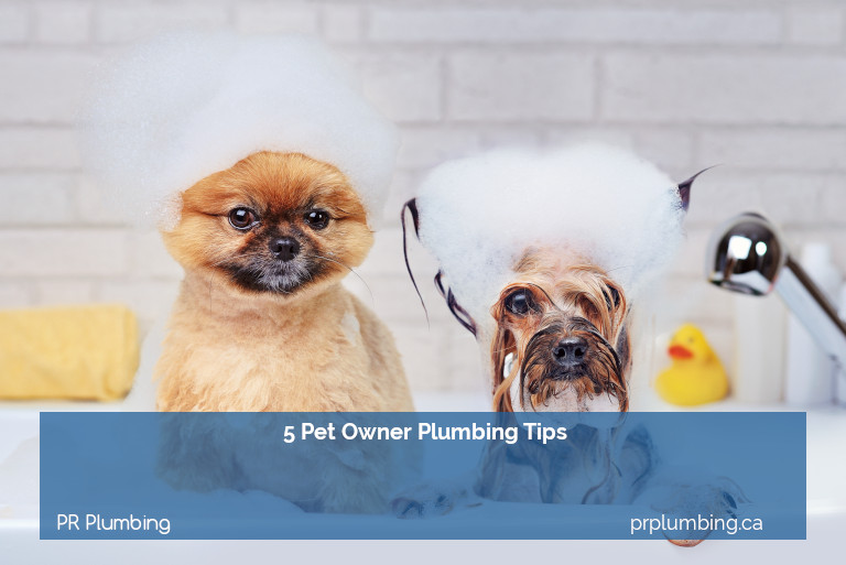 5 Pet Owner Plumbing Tips