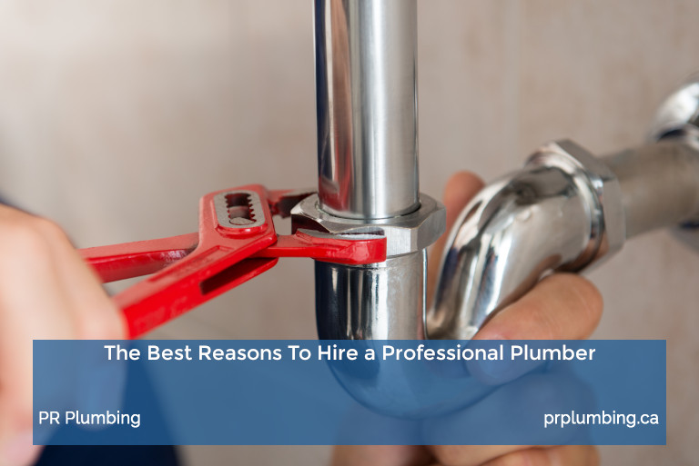 The Best Reasons To Hire a Professional Plumber