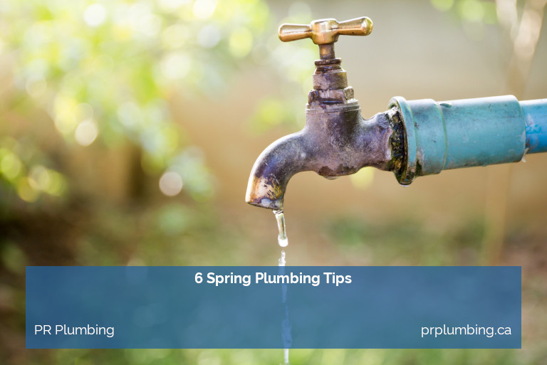 6 Spring Plumbing Tips