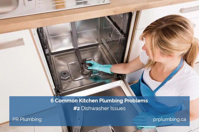 Kitchen Plumbing Problems